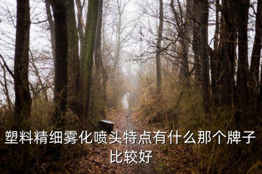 塑料精細霧化噴頭特點有什么那個牌子比較好