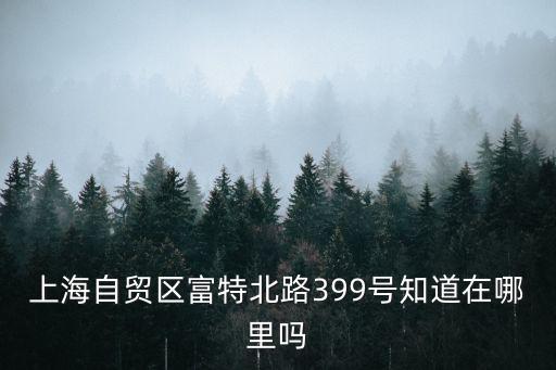 上海自貿(mào)區(qū)富特北路399號(hào)知道在哪里嗎