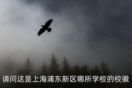 請問這是上海浦東新區哪所學校的校徽