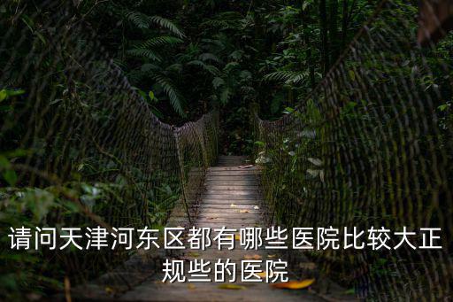 請問天津河?xùn)|區(qū)都有哪些醫(yī)院比較大正規(guī)些的醫(yī)院