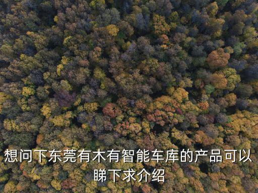 想問下東莞有木有智能車庫的產品可以睇下求介紹