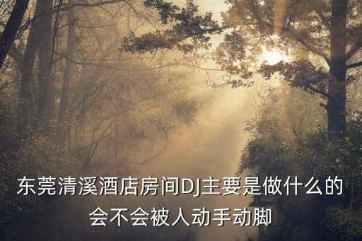 東莞清溪酒店房間DJ主要是做什么的會(huì)不會(huì)被人動(dòng)手動(dòng)腳