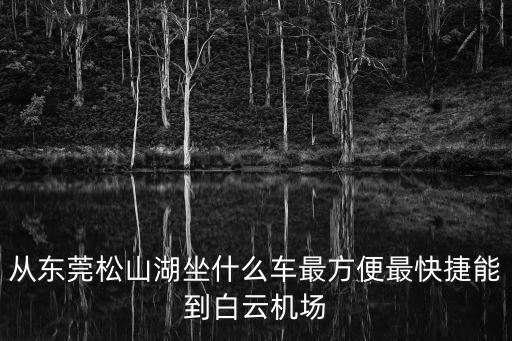 從東莞松山湖坐什么車最方便最快捷能到白云機(jī)場