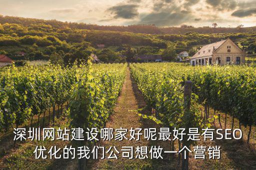 深圳網(wǎng)站建設(shè)哪家好呢最好是有SEO優(yōu)化的我們公司想做一個(gè)營銷