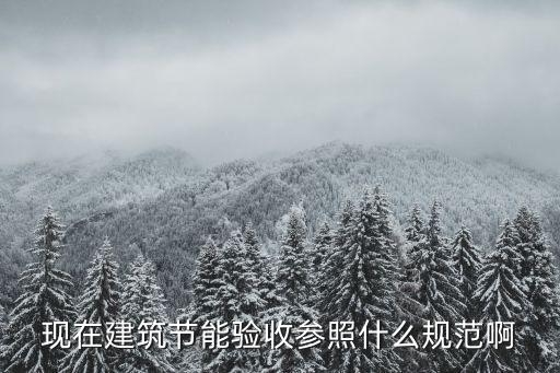 現在建筑節能驗收參照什么規范啊