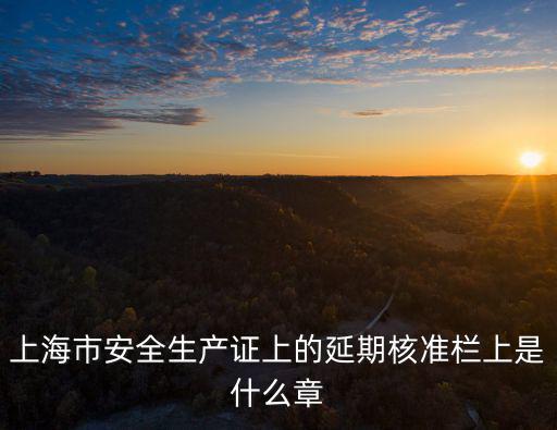 上海市安全生產(chǎn)證上的延期核準欄上是什么章