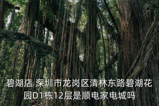 碧湖店 深圳市龍崗區(qū)清林東路碧湖花園D1棟12層是順電家電城嗎