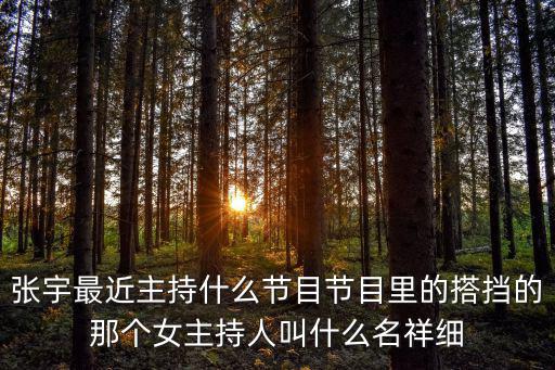 張宇最近主持什么節目節目里的搭擋的那個女主持人叫什么名祥細