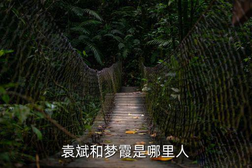 上海市袁斌與市領(lǐng)導(dǎo)，上海的市長是誰