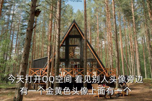 東莞掃黃頭像，今天打開(kāi)QQ空間 看見(jiàn)別人頭像旁邊有一個(gè)金黃色頭像上面有一個(gè)