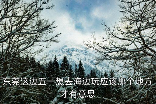 東莞這邊五一想去海邊玩應該那個地方才有意思
