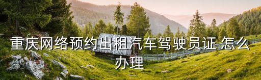 重慶市網約車上牌流程，重慶對公網約車