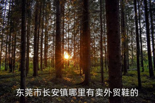 東莞市長安鎮哪里有賣外貿鞋的