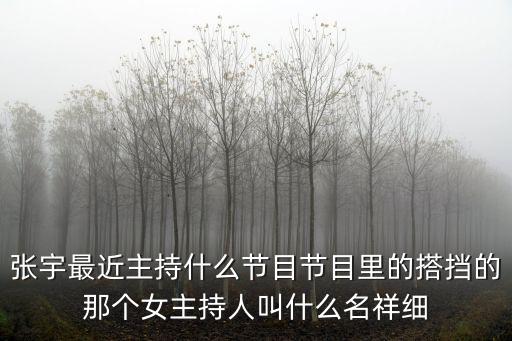 張宇最近主持什么節(jié)目節(jié)目里的搭擋的那個女主持人叫什么名祥細