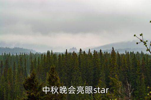 沙鷗東莞億鑫中秋晚會(huì)，中秋晚會(huì)亮眼star