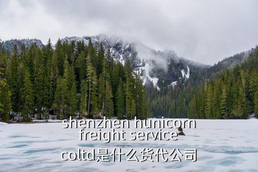 深圳宇環(huán)國(guó)際物流有限公司，請(qǐng)問深圳哪家國(guó)際快遞公司有ARAMEX中東快線專線服務(wù)