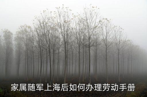 上海市用工手冊(cè)，我想問(wèn)一下在上海能用結(jié)業(yè)證書(shū)辦勞動(dòng)手冊(cè)么如歸可以辦那需要