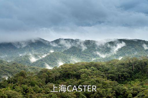 上海CASTER