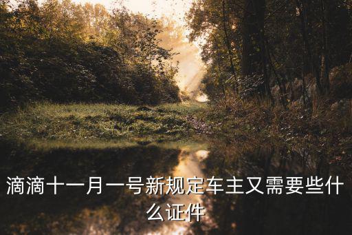 滴滴十一月一號新規定車主又需要些什么證件