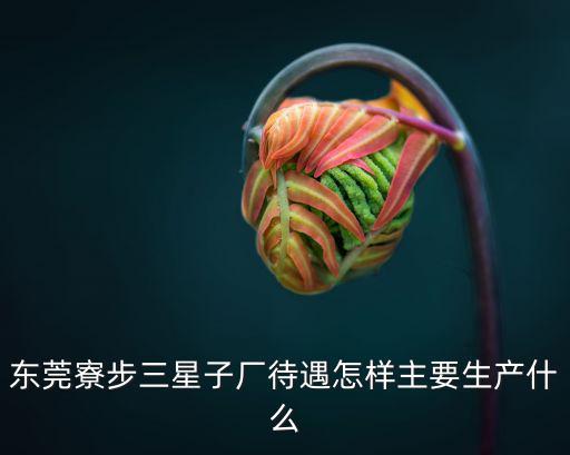 東莞寮步三星子廠待遇怎樣主要生產什么