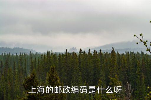 上海市中興路571弄郵編，上海的郵政編碼是什么呀