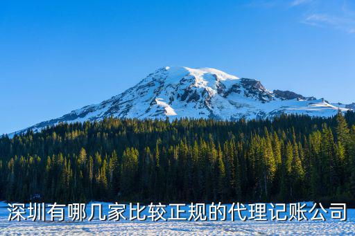 深圳有哪幾家比較正規(guī)的代理記賬公司