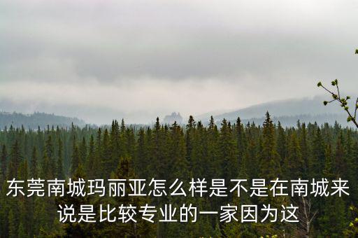 東莞南城瑪麗亞怎么樣是不是在南城來(lái)說(shuō)是比較專(zhuān)業(yè)的一家因?yàn)檫@