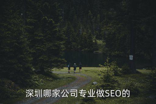 深圳哪家公司專業(yè)做SEO的