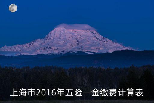 上海市2016年五險(xiǎn)一金繳費(fèi)計(jì)算表