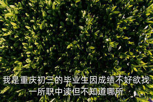 重慶市教委 新專業申報，重慶應用外國語專修學院誰能介紹一下嗎 高考