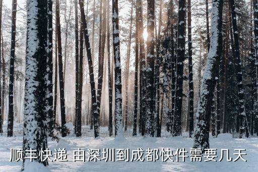 順豐快遞 由深圳到成都快件需要幾天