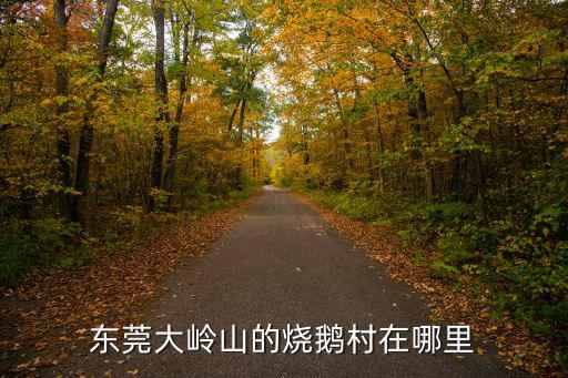 東莞大嶺山的燒鵝村在哪里
