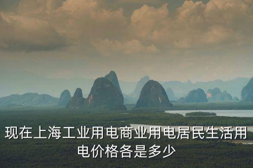 現(xiàn)在上海工業(yè)用電商業(yè)用電居民生活用電價格各是多少