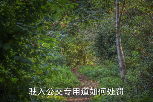 深圳占用公交車(chē)道怎么處罰，深圳高峰期走公交車(chē)道會(huì)怎么處罰