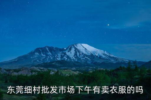 東莞細村批發市場下午有賣衣服的嗎