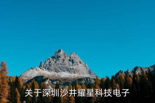 關(guān)于深圳沙井耀星科技電子