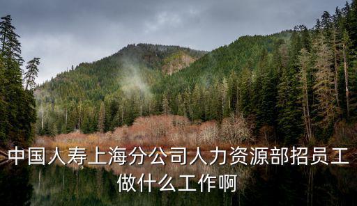 中國(guó)人壽上海分公司人力資源部招員工做什么工作啊