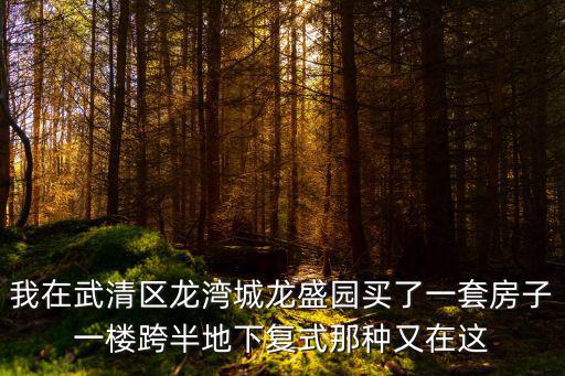 我在武清區(qū)龍灣城龍盛園買了一套房子一樓跨半地下復(fù)式那種又在這