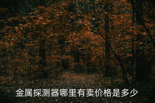 金屬探測器哪里有賣價格是多少