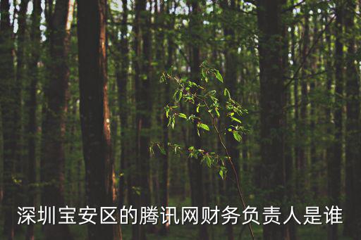 深圳寶安區的騰訊網財務負責人是誰