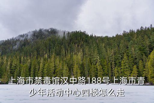 上海市禁毒館漢中路188號上海市青少年活動中心四樓怎么走