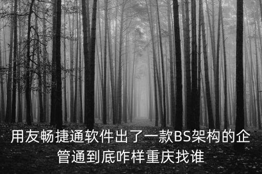 用友暢捷通軟件出了一款BS架構的企管通到底咋樣重慶找誰