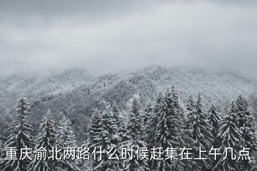 重慶渝北兩路什么時候趕集在上午幾點