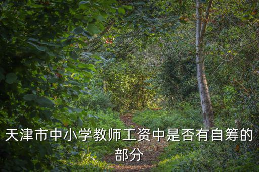 天津市中小學(xué)教師工資中是否有自籌的部分
