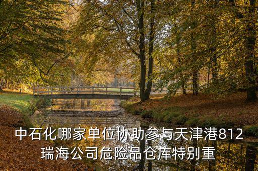 中石化哪家單位協助參與天津港812瑞海公司危險品倉庫特別重