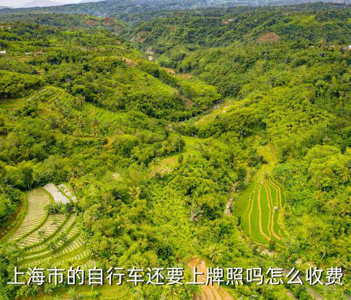 上海市的自行車還要上牌照嗎怎么收費(fèi)