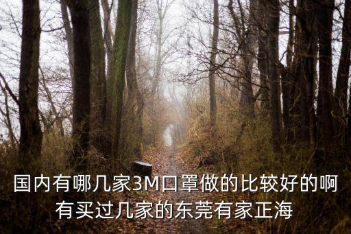 國內有哪幾家3M口罩做的比較好的啊有買過幾家的東莞有家正海