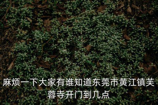 麻煩一下大家有誰知道東莞市黃江鎮(zhèn)芙蓉寺開門到幾點(diǎn)