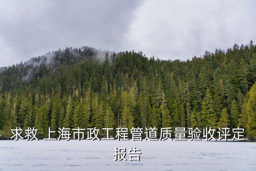 求救 上海市政工程管道質量驗收評定報告