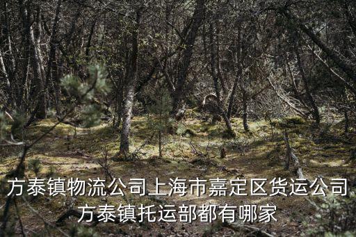 方泰鎮(zhèn)物流公司上海市嘉定區(qū)貨運(yùn)公司方泰鎮(zhèn)托運(yùn)部都有哪家